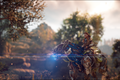 Horizon-Zero-Dawn_Wed_Apr__3_12-53-03_2024