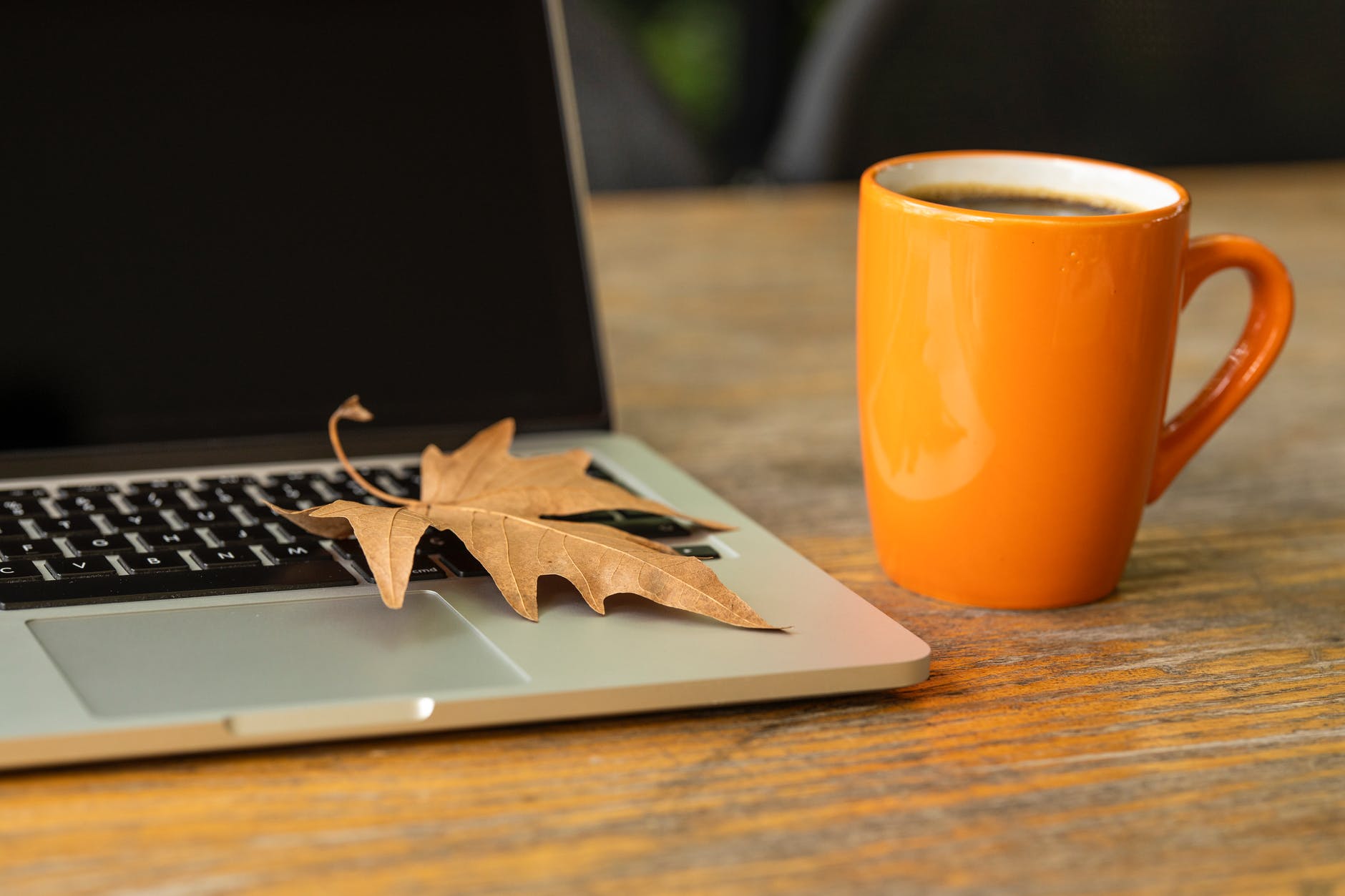 fall leaf on laptop